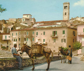prodotti tipici Isola d'Elba