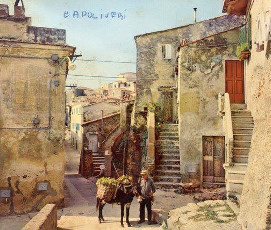 Capoliveri, cantucci e schiaccia